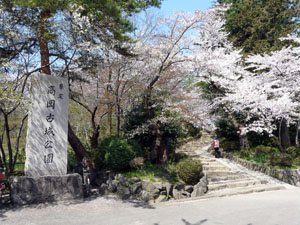 高岡古城公園　桜まつり