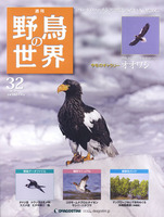週刊野鳥の世界　第32号　オオワシ