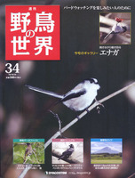 週刊野鳥の世界　第34号　エナガ