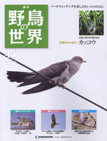週刊野鳥の世界　第45号　カッコウ