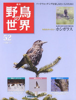 週刊野鳥の世界　第52号　ホシガラス