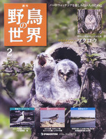 週刊野鳥の世界　第2号　フクロウ