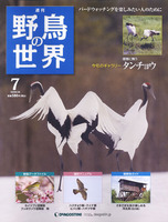 週刊野鳥の世界　第7号　タンチョウ