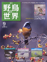 週刊野鳥の世界　第9号　ジョウビタキ