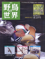 週刊野鳥の世界　第15号　オシドリ
