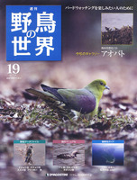 週刊野鳥の世界　第19号　アオバト