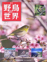週刊野鳥の世界　第22号　メジロ