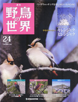 週刊野鳥の世界　第24号　キレンジャク・ヒレンジャク