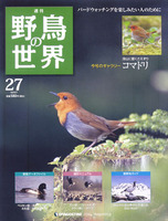 週刊野鳥の世界　第27号　コマドリ