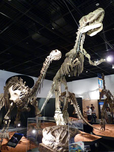 アジア恐竜時代の幕開け　福井県立恐竜博物館