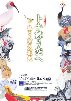 夏期特別展「トキ舞う空へ」　石川県立歴史博物館