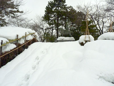 雪の高岡城へ
