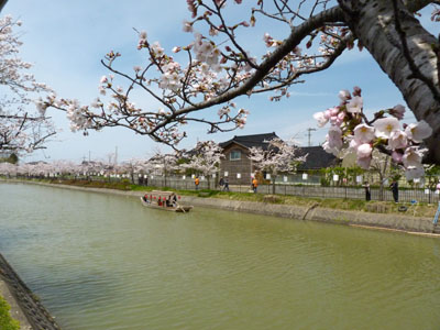 第６回能瀬川公園桜まつり