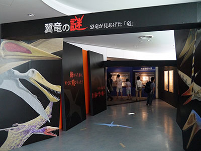 翼竜の謎　福井県立恐竜博物館
