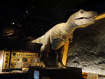 「恐竜　太古の足跡は語る」　富山市科学博物館