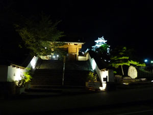 掛川城の夜景
