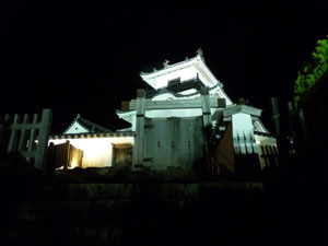 掛川城の夜景