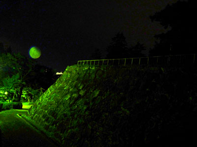 盛岡城の夜景