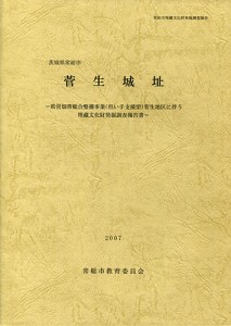 管生城埋蔵文化財発掘調査報告書