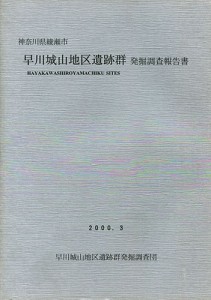 早川城山地区遺跡群発掘調査報告書