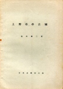 上野市の古城