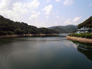 大日川ダム