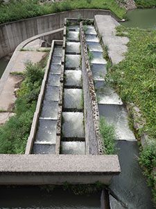 浄土寺川ダム