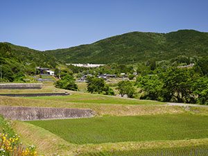 中野方ダム