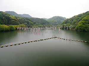 行入ダム
