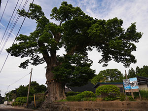 徳田郵便局