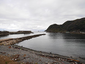 日向水中綱引き　福井県美浜町