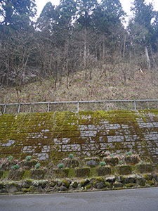 足羽川ダム（建設中）