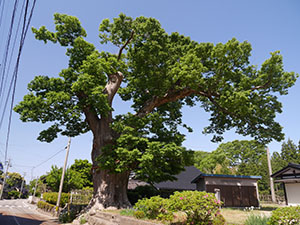 徳田郵便局