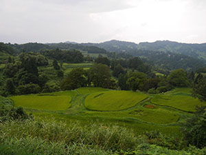 星峠の棚田