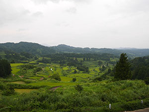 星峠の棚田