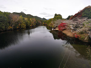 大野頭首工