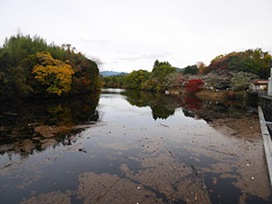 大野頭首工