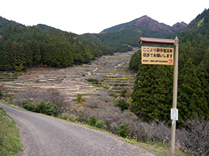 四谷の千枚田（棚田百選）