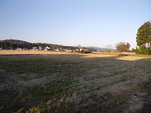 安養寺御坊