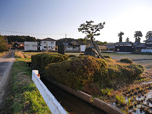 安養寺御坊