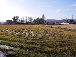 木舟城