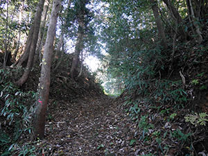 土山御坊・御峰城