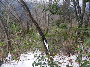 千石山城