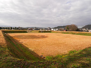 安田城