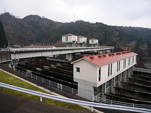 富山　常願寺川沿岸地区のお米