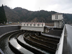 富山　常願寺川沿岸地区のお米