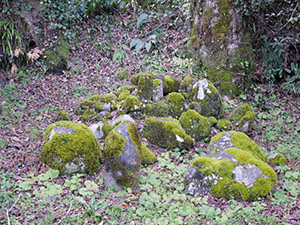 高山城