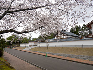 越前陶芸村　さくらカード