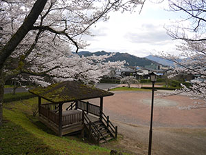 花筐公園　さくらカード