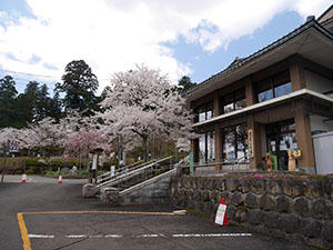 花筐公園　さくらカード